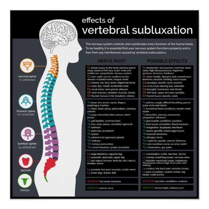 Effects of Vertebral Subluxation Chiropractic Poster | Zazzle