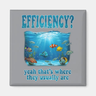 Efficiency Where They Usually Are Aquarium Fiank Magnet