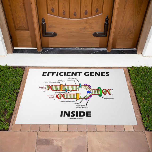 Efficient Genes Inside DNA Replication Humor Doormat (Outdoor)