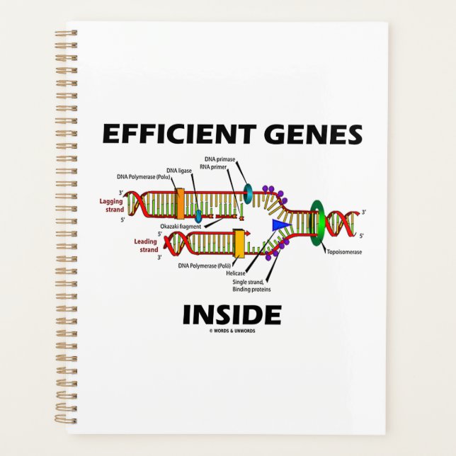 Efficient Genes Inside DNA Replication Humor Planner (Front)