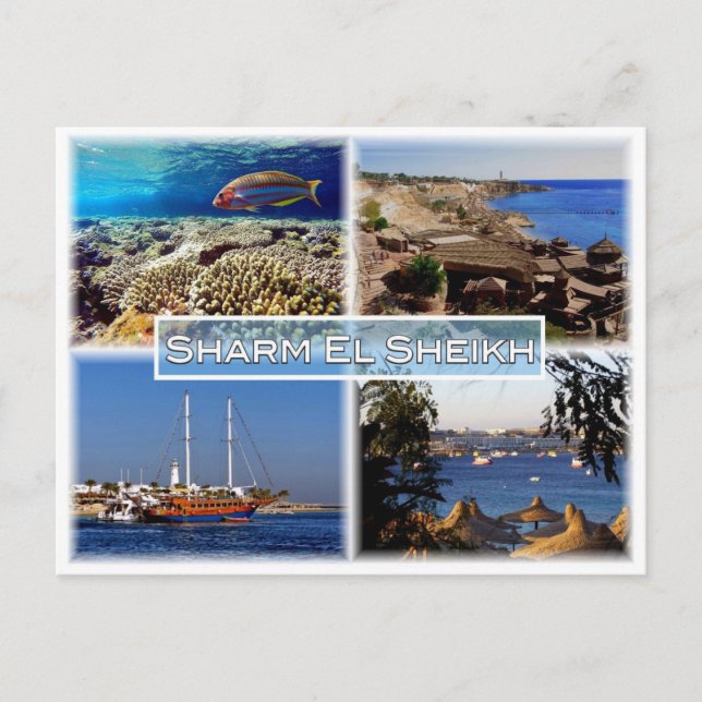 EG Egypt - Sharm El Sheikh - Red Sea - Postcard (Front)