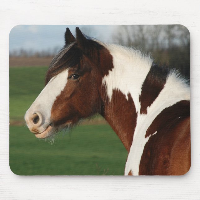 Egehojs Maj Mouse Pad (Front)