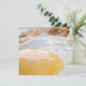 Egg (Standing Front)