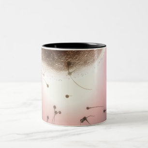 Egg being fertilized by sperm Two-Tone coffee mug