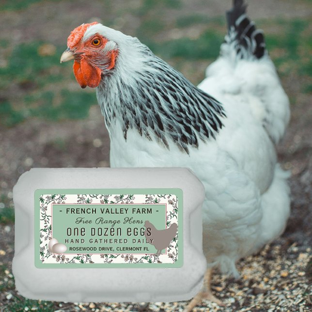 Egg Carton Label Botanical with Hen and Eggs (Creator Uploaded)