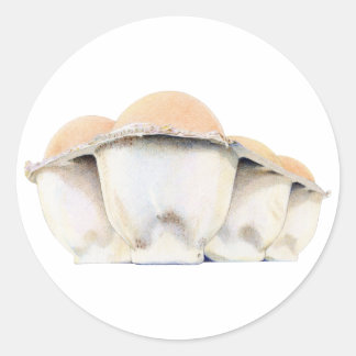 Egg Carton Sticker