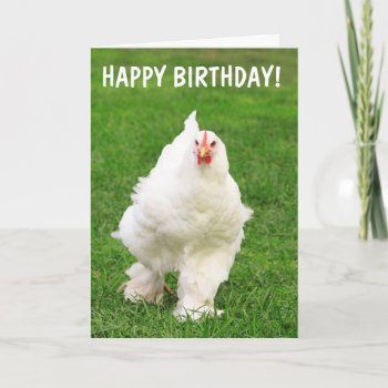 Egg-cellent Chicken Rooster Joke Birthday Card by Therupieshop at Zazzle