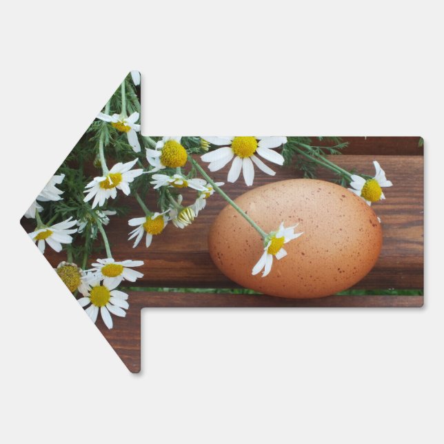 egg,eggs,sale,Animal, farm animal, farm, Sign (Front)