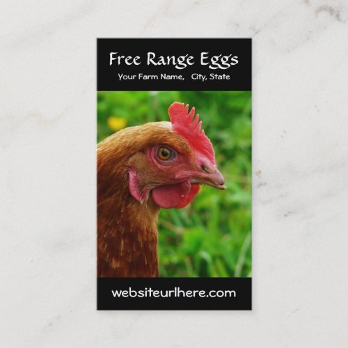 Egg Farming Rural Chicken Photo Business Cards