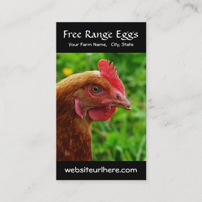 Egg Farming Rural Chicken Photo Business Card (Front)