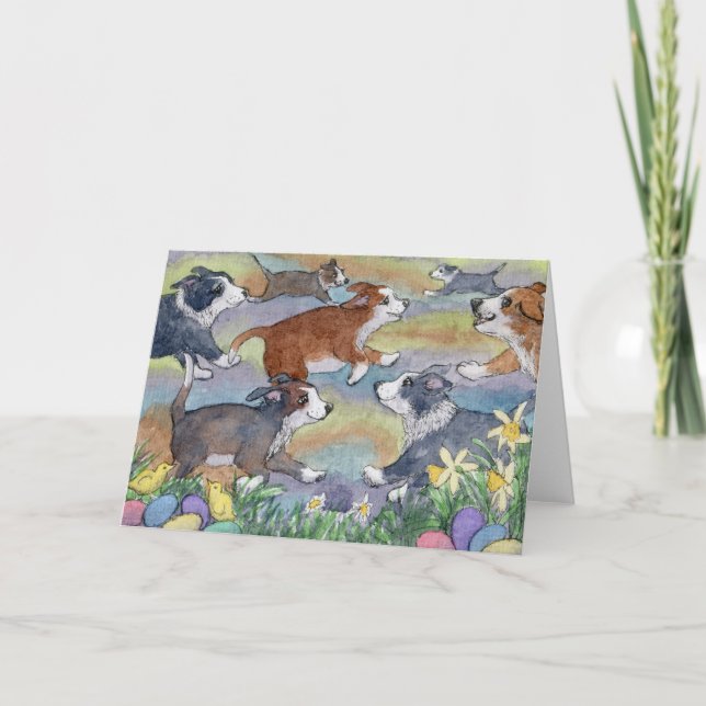 Egg Hunting Dogs, Border Collie Card (Front)