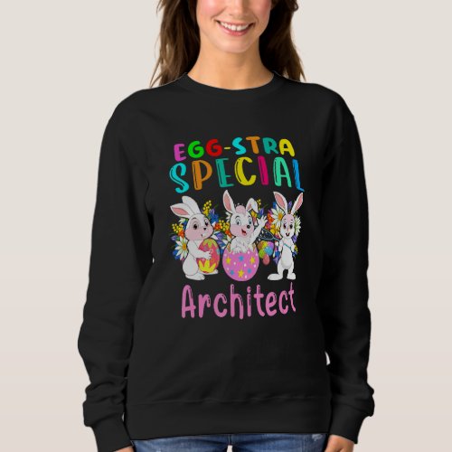 Egg Stra Special Architect Cute Extra Easter Eggs  Sweatshirt