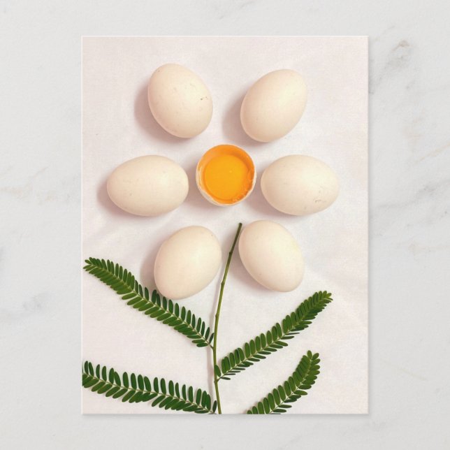 Egg Yolk Flower Postcard (Front)