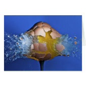 Eggceptional (Front Horizontal)