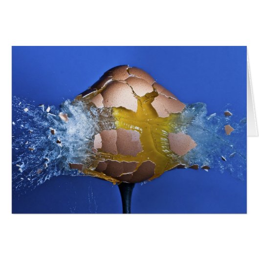 Eggceptional (Front Horizontal)