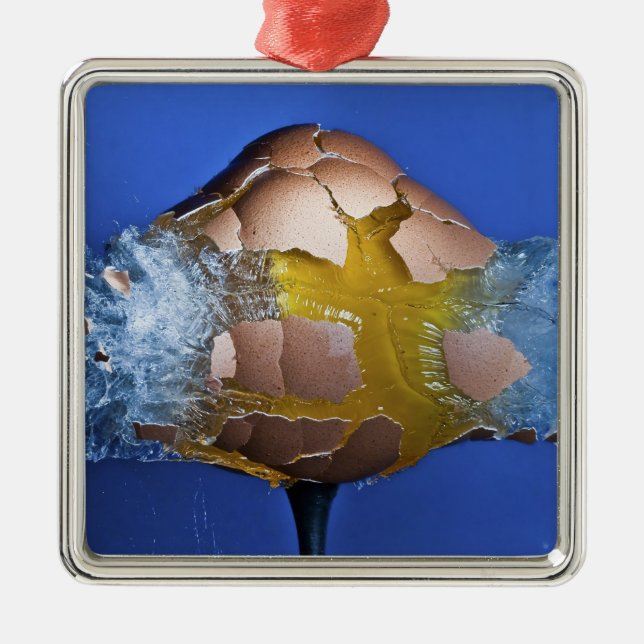 Eggceptional Metal Ornament (Front)