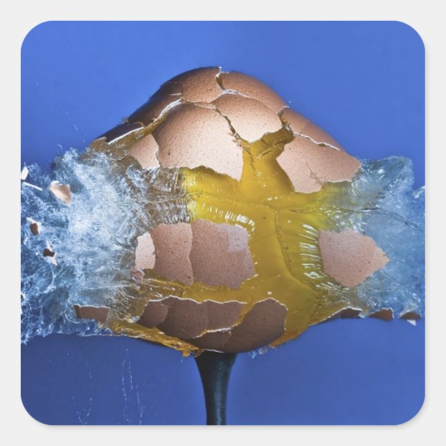 Eggceptional Square Sticker (Front)