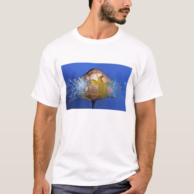 Eggceptional T-Shirt (Front)