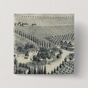 Eggers Vineyard, Fresno Button