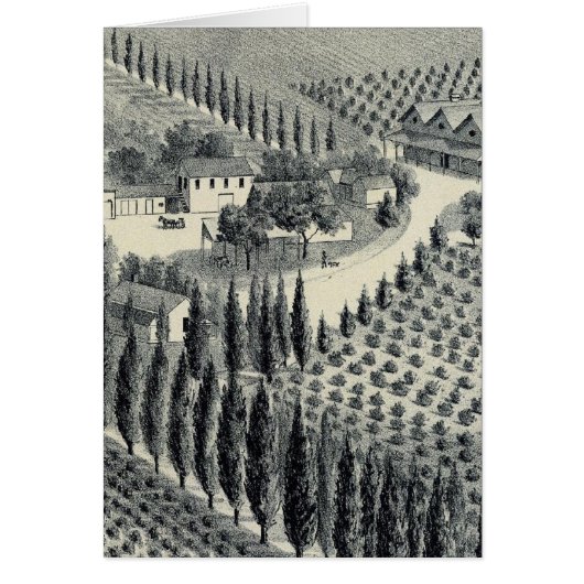 Eggers Vineyard, Fresno Cards (Front)