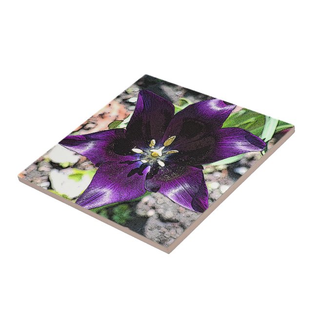 "EGGPLANT COLORED TULIP" CERAMIC TILE/TRIVET TILE (Side)