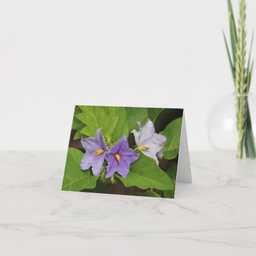 Eggplant Flower Photo Blank Folded Note Card