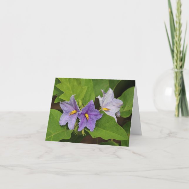 Eggplant Flower Photo Blank Folded Note Card (Front)