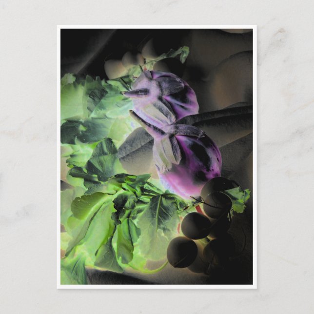 Eggplant & Radishes Template Postcard (Front)