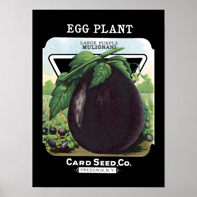 Eggplant Vintage Seed Packet Poster (Front)