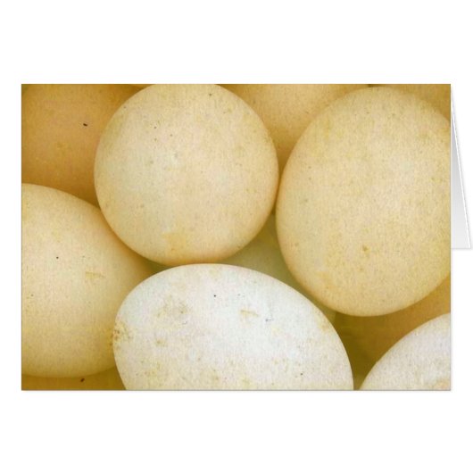 Eggs Cards (Front Horizontal)