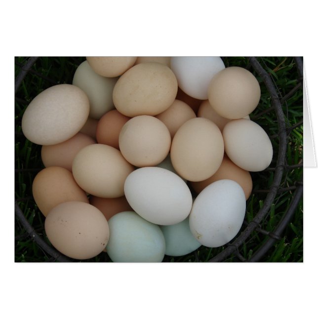 Eggs Cards (Front Horizontal)