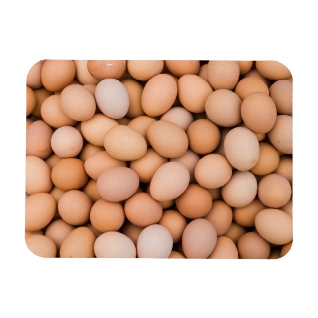 Eggs, Huaraz, Cordillera Blanca, Ancash, Peru Magnet (Horizontal)