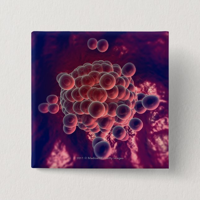 Eggs in an ovum button (Front)