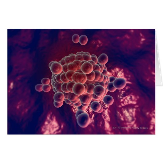 Eggs in an ovum cards (Front Horizontal)