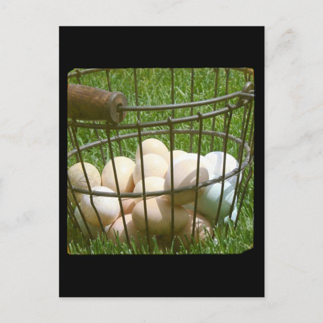 Eggs Postcard (Front)