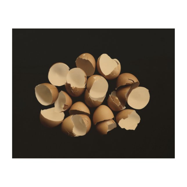 Eggshells Wood Wall Art (Front)