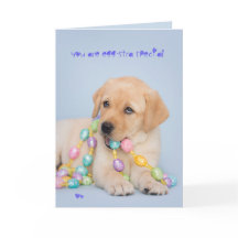 Eggstra special yellow labrador puppy easter