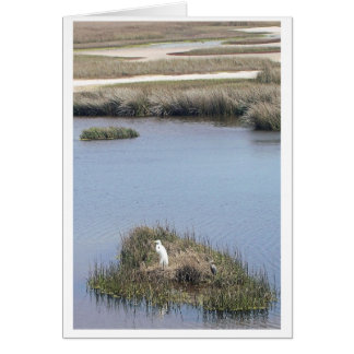 Egret At Home Cards