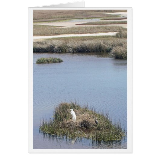 Egret At Home Cards (Front)