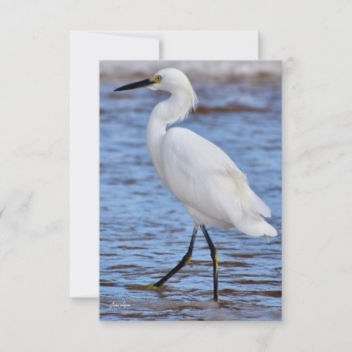 Egret at the beach note card