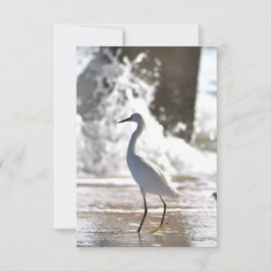Egret at the beach note card