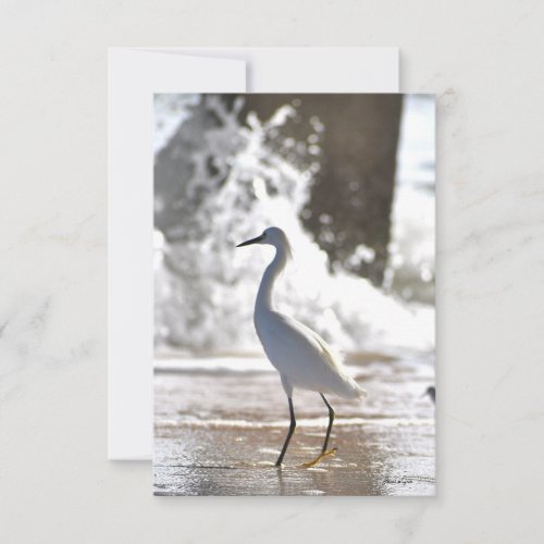Egret at the beach note card