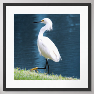 Egret Bird Wall Art Minimalist Nature Coastal