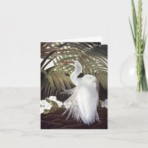 Egret card