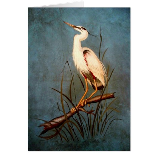 Egret Cards (Front)