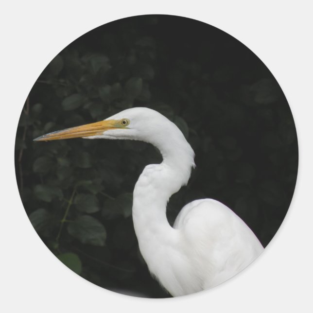 Egret  classic round sticker (Front)