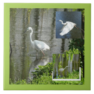 Egret Collage Cust. Border Color Ceramic Tile