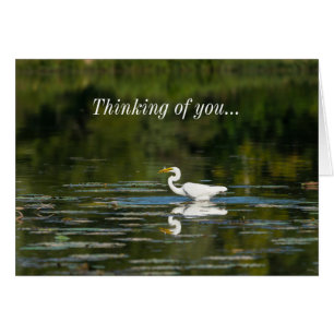 Egret Fish Feast Thinking Of You Card