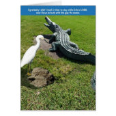 Egret & Gator (Front)