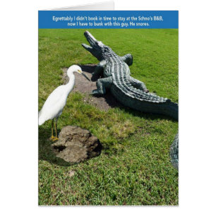 Egret & Gator Cards